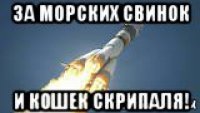 за морских свинок и кошек скрипаля!