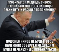 пробирается медведь сквозь лесной валежник. стали птицы песни петь, и расцвел подснежник. подснежников не будет! весь валежник соберут и медведям будет не через чего пробираться!
