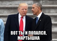  вот ты и попался, мартышка