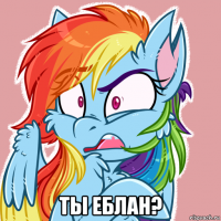  ты еблан?