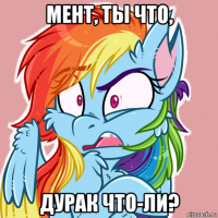 мент, ты что, дурак что-ли?