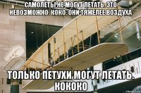 самолёты не могут летать. это невозможно. коко. они тяжелее воздуха только петухи могут летать. кококо