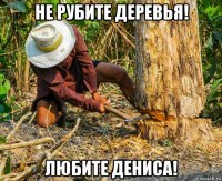 не рубите деревья! любите дениса!