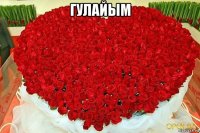 гулайым 