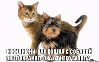  и жили они, как кошка с собакой. он её охранял, она от него гуляла...