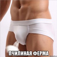  пчилиная ферма