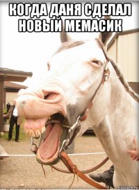 когда даня сделал новый мемасик 