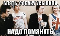 блять, собаку усыпили надо помянуть