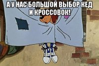 а у нас большой выбор кед и кроссовок! 