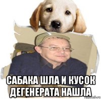  сабака шла и кусок дегенерата нашла