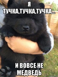 я тучка,тучка,тучка... и вовсе не медведь