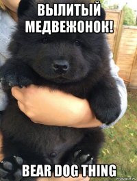 вылитый медвежонок! bear dog thing