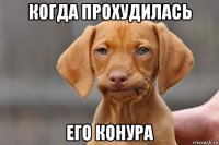 когда прохудилась его конура