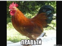  правый