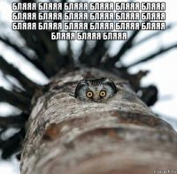 бляяя бляяя бляяя бляяя бляяя бляяя бляяя бляяя бляяя бляяя бляяя бляяя бляяя бляяя бляяя бляяя бляяя бляяя бляяя бляяя бляяя 