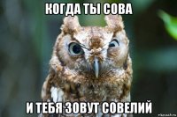 когда ты сова и тебя зовут совелий