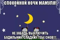 спокойной ночи мамуля! не забудь выключить будильник. сладких тебе снов!!!