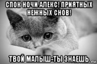 спок ночи алекс! приятных нежных снов! твой малыш-ты знаешь