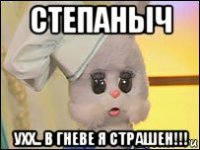 степаныч ухх.. в гневе я страшен!!!