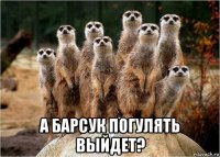  а барсук погулять выйдет?