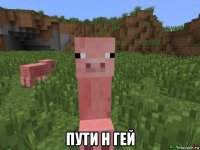  пути н гей