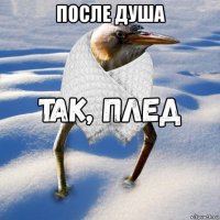 после душа 