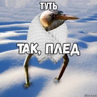 туть 