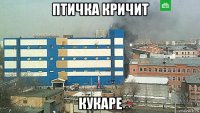 птичка кричит кукаре