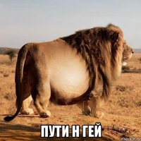  пути н гей