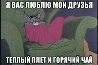 я вас люблю мои друзья теплый плет и горячий чай