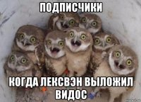 подписчики когда лексвэн выложил видос