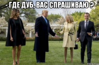 - где дуб, вас спрашиваю ? 
