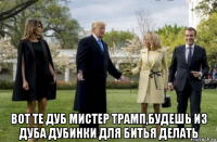  вот те дуб мистер трамп,будешь из дуба дубинки для битья делать