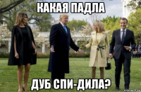 какая падла дуб спи-дила?