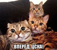  вперёд, цска!