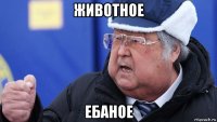 животное ебаное