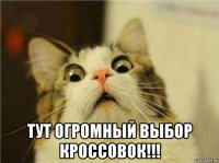  тут огромный выбор кроссовок!!!