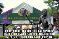  по пружинистой и жесткой, как мочалка, траве можно будет даже пробежаться, хотя сыграть в теннис на ней вам не разрешат.