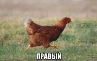  правый