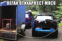веган втихаря ест мясо 