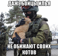даже бойцы илья не обижают своих котов