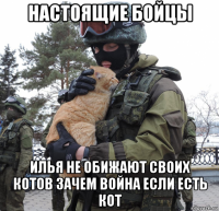 настоящие бойцы илья не обижают своих котов зачем война если есть кот