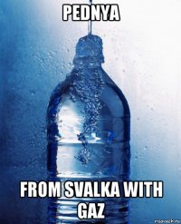 pednya from svalka with gaz