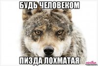 будь человеком пизда лохматая