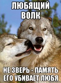 любящий волк не зверь - память его убивает любя