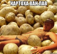 картоxа ван лав 