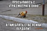 просыпаюсь с утра,смотрю в окно а там блять стас ясика пердолит