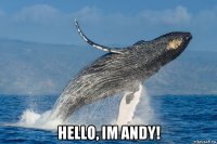  hello, im andy!