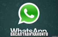  васап гавн какойто