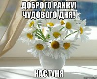 доброго ранку! чудового дня! настуня